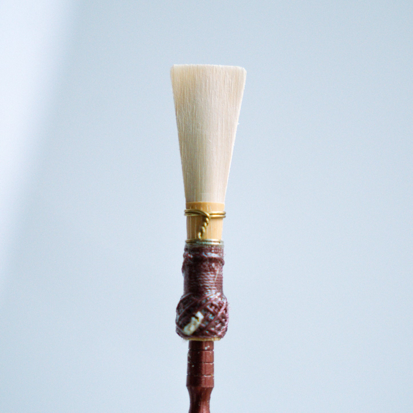 Rieger 2 - Lavoro Cane Reed